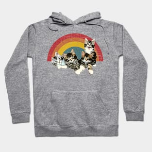 4 cute kitties and rainbow Hoodie